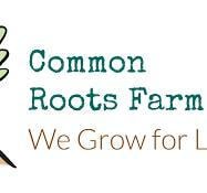 Fifth Crow Farm