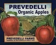 Prevedelli Farm